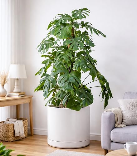D'vine Dev 16 Inch Ceramic Planter Pot, White, 94-O-H-1 - Image 6