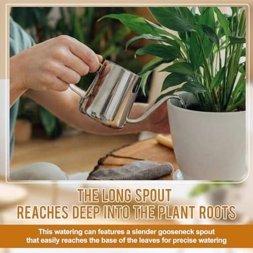 2 Pcs Small Watering Can for Indoor Plants, 12 Oz/350 ml Mini Plant Watering Pot with Long Spout and Scale 304 Stainless Steel Tiny Watering-can for Outdoor Indoor Plants Garden(Sliver) - Image 5