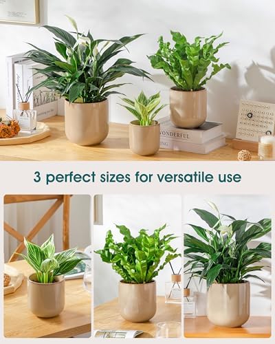 vancasso Ceramic Plant Pots, 4+5+6 inches, Set of 3, Planters with Drainage Hole, Flower Pots Planters Pots for Indoor Plants, Modern Indoor Decorative Garden Pot, Home Decor, Brown - Image 5