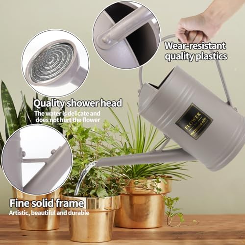 0.5 Gallon Small Watering Can for Outdoor Indoor Plants for House Plants, 12 oz Glass Plant Mister Spray Bottle for Bonsai Garden Flowers (Grey) - Image 2