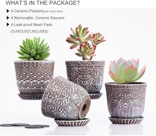 Gepege Ceramic Succulent Pots, 4 Inch Small Plant Pots with Drainage - Image 3