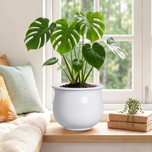 Ceramic African Violet Pot, 8 Inch Self Watering Planter, White - Image 4