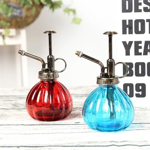 Spray Bottle for Plants, Plant Mister Spray Bottle, Glass Plant Mister Spray Bottle, Embossed Vintage Glass Watering Can, Succulent Watering Bottle with Top Pump for Outdoor (FF) - Image 4