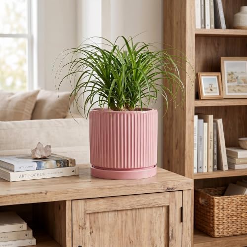 8 Inch Plant Pot, Ceramic Flower Pots, Round Plant Pots, Pink - Image 3