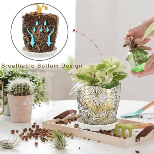 Oairse 6 +5 inch Ceramic Planter Pots Set of 2 Small Round Flower Pots with Drainage Hole and Ceramic Tray for Succulents Cactus Indoor Outdoor Garden Home Windowsill - Image 4