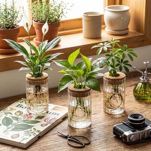 6 Set Propagation Station Jar Desktop Glass Planter Station Flower Vases Water Terrarium Jar with Cork Lid for Propagating Flower Plants Centerpiece Office Home Garden Decor (Small) - Image 6