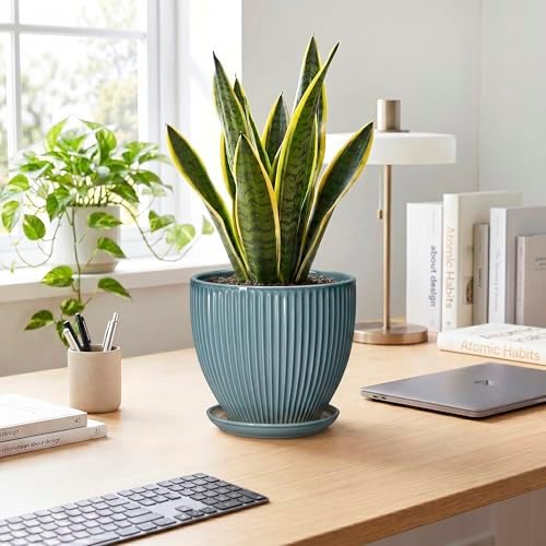 Ceramic Planter, 8 Inch Plant Pot Indoor with Drainage Hole and Saucer, Decorative Planters for Indoor Plants, Modern Flower Pots, Round Planter, Room Decor, Gifts for Plant Lovers, Glaze Blue - Image 3