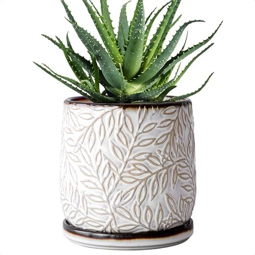 D'vine Dev Embossed Leaves Ceramic Planter, 6 in, Smoked White, 27-A-X-1 by DvineDevPlanterPotsandStand