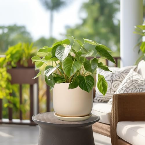Ceramic Planter - Round Modern 8 Inch Plant Pot with Drainage Hole and Saucer for Flowers Herb, Home House Office Room Apartment Decor, Yellow - Image 4
