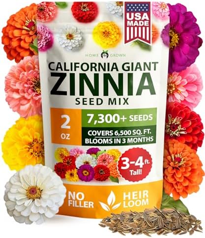 HOME GROWN Zinnia California Giant Seeds 2 oz, 7,300+ Seeds, Zinnia elegans by HOMEGROWN