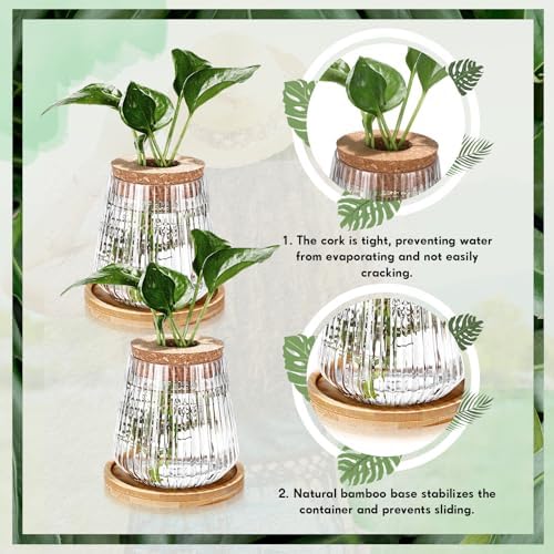 Baderke 12 Pack Propagation Vases for Plants, Vertical Grain Style - Image 4