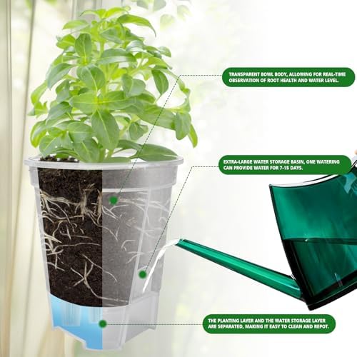 Cdd's Path Large Naked Root Planter Self Watering Pots Set with Holes for Indoor/Outdoor Plants, Planter Pot with Watering Hole/Reservior and Air Pipes (Clear, 8 inch-5 Pack) - Image 3