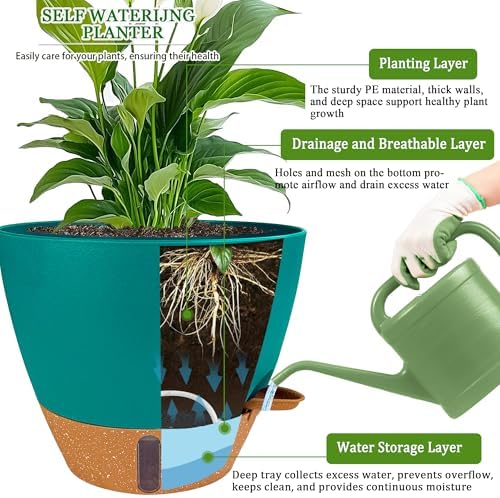 2 Pack 10 inch Plant Pots, Plastic Self Watering Planters - Image 3