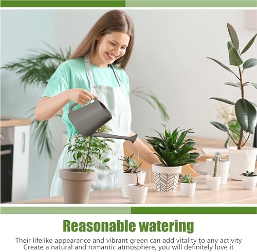 ZXJ Plant Watering Can - for Indoor and Outdoor Home Garden Plants - with Long Spout - Grey - 1/2 Gallon - Image 3