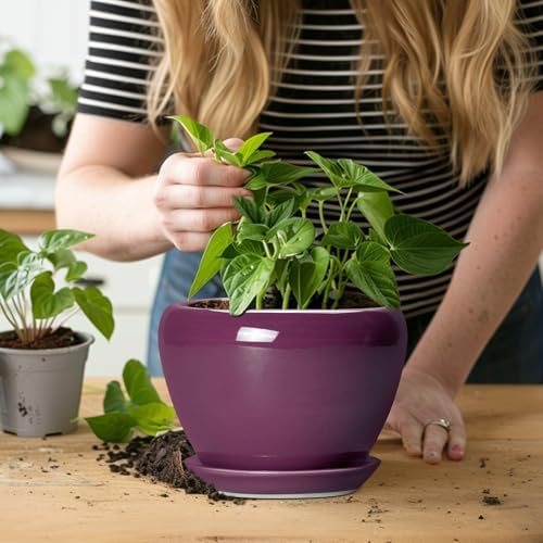 Ceramicfor Ceramic Pots for Plants 6 Inch - Ceramic Plant Pots with Drainage Hole and Saucer, Glaze Round Planter for Succulent Plants, Gifts for Plant Lovers, Garden Home Decor, Purple - Image 5