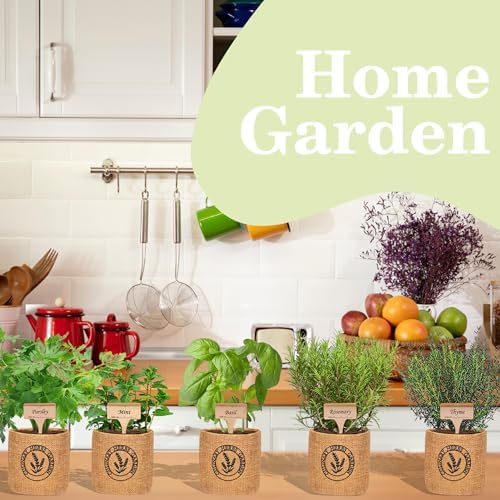 Herb Indoor Garden Kit- Unique Chrismas Herb Gardening Gift, Home Kitchen Gift for Mom, Friends, and Gardeners (Basil, Parsley, Mint, Thyme, Rosemary) - Image 5