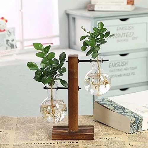 Plant Propagation Station, Plant Terrarium Vase Hydroponics Plant Holder, Indoor Plant Stand, Terrarium Kit for Hydroponics Plants Home Decor, Plant Lover Gifts 2 Bulb Vase by SlenyuBridal