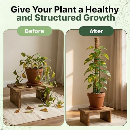 4 Pack 16" Moss Pole Monstera Plant Support - Stackable up to 48" - Image 6