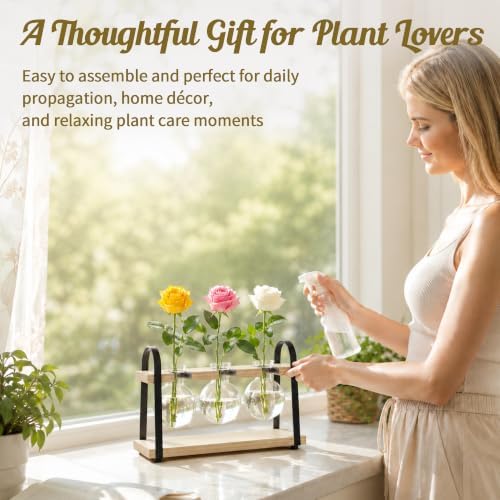 3-Bulb Plant Propagation Station, Glass Vase Terrarium, Retro White - Image 3