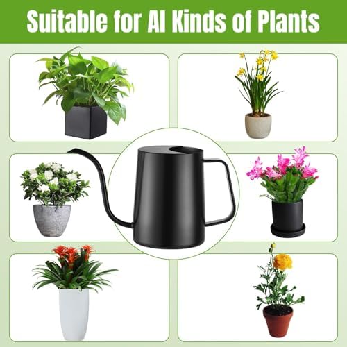 Small Watering Can for Indoor Plants, 34 oz Stainless Steel, Black - Image 6