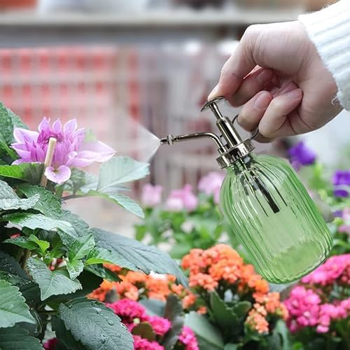 Glass Plant Mister Spray Bottle, 320ML Vintage Plant Spritzer with Top Pump Watering Can for Indoor Outdoor House Plants, Flowers (Green) - Image 2