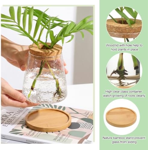 Honeydak 6 Pcs Plants Propagation Stations Planter Terrariums with Wooden Lid and Bamboo Stand Hammered Glass Propagation Vases for Plant Growing Hydroponic Home Office Tabletop Decoration - Image 4