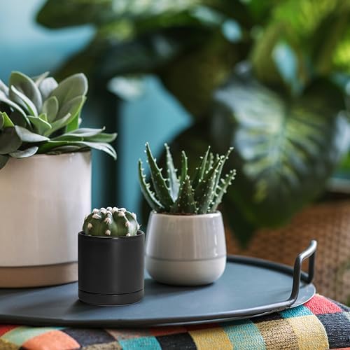 D'vine Dev 3.5 Inch Ceramic Planter Pot, Black, 94-O-A-2 - Image 5