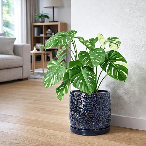 D'vine Dev Embossed Leaves Ceramic Planter, 10 in, Midnight Blue, 27-A-P-3 - Image 2