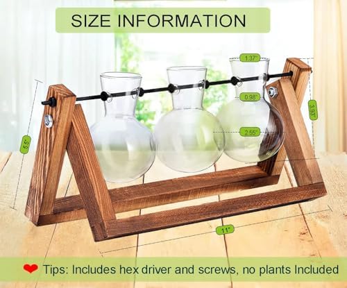 Kingbuy Plant Propagation Station, 3 Glass Bulb Vases with Wooden Stand - Image 5