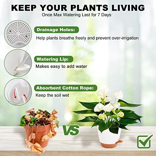 7/6.5/6/5.5/5 Inch Self Watering Pots for Indoor/Outdoor Plants, 5 Pack - Image 2