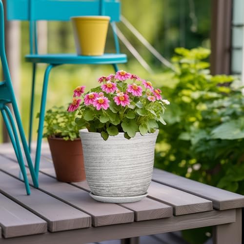 Ceramic Pots for Plants - 5.6 Inch Plant Pot with Drainage Hole and Tray, Round Succulents Pots for Indoor Outdoor, Decorative Planters, Home Room Office Decor, Gifts for Plant Lovers, Grey - Image 4