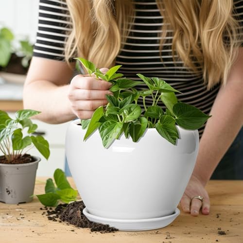 Ceramicfor Ceramic Pot for Plants, 8 Inch Planter, Glossy White - Image 5