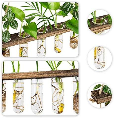3 Tier Wall Hanging Propagation Stations with 15 Glass Test Tubes, Plant Terrarium Propagation Tubes Planter for Hydroponic Cuttings, Window Decor Gift for Plant Lovers - Image 5