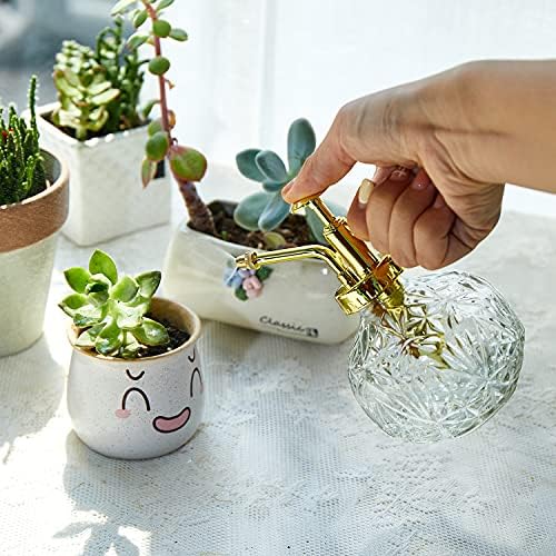Glass Plant Mister Water Spray Bottle, Succulent Watering Bottle with Plastic Top Pump, 200 ML Capacity Vintage Style Plant Sprayer, Small Watering Can for Indoor Outdoor House Plants - Clear - Image 5