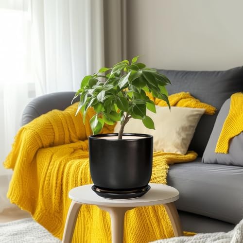 Ceramic Flower Pot 8 Inch - Modern Round Planter for Indoor Outdoor Plants with Drainage Hole and Saucer, Home House Room Office Patio Decor, Black - Image 6