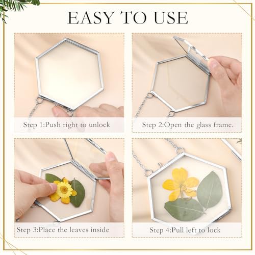 Bucherry 5 Pcs Glass Frame for DIY Pressed Flowers Art Hanging Photo Picture Frame with Chain and 6 Styles Pressed Flowers Collage Glass Craft Frames for Wall Decor Display Gallery (Silver) - Image 4