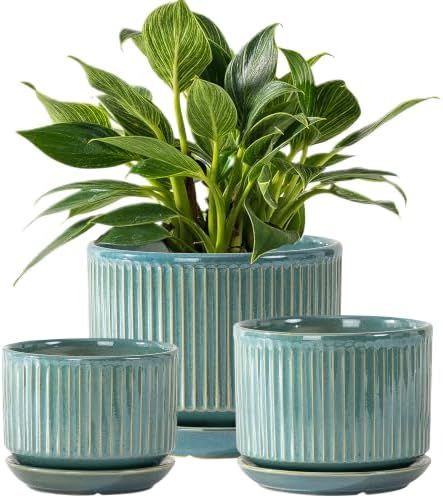SURE YUESI Ceramic Plant Flower Pots for Indoor Plant, 4.33"+5.5"+6.88", Set of 3, Orchid Pot with Drainage Hole, Saucer and Hole Mesh Pad for Succulents, Herbs and African Violet (Light Blue) by SUREYUESI