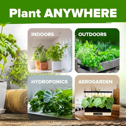 HOME GROWN 10 Herb Variety Pack 3000+ Seeds Extra Large Culinary Kit - Image 5
