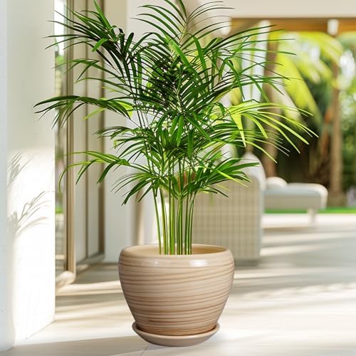 Ceramicfor Planter Pot 8 Inch, Ceramic Pot for Plants, Yellow - Image 5
