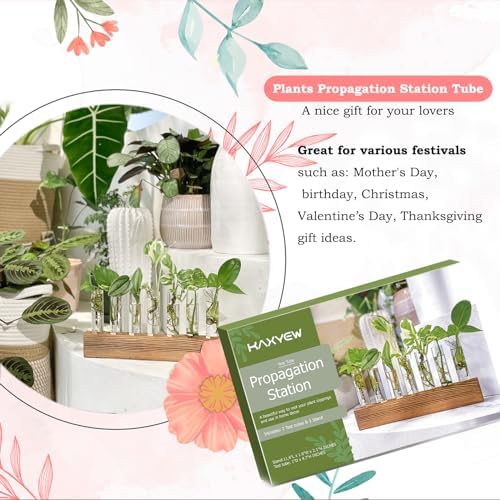 KAXYEW Plant Terrarium with Wooden Stand, Plant Propagation Tubes, 7 Test Tubes Glass Planter for Hydroponic Plant Cuttings Home Office Décor - Image 3