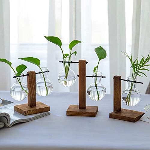 Kingbuy Hydroponic Glass Vase with Retro Wooden Stand - Image 4