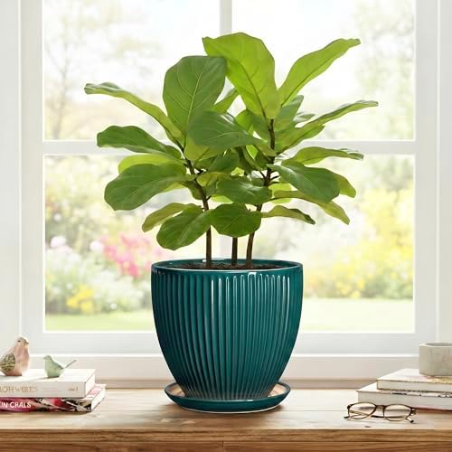 Ceramic Planter, 8 Inch Plant Pots with Drainage Hole and Saucer, Round Flower Pots for Indoor Plants, Modern Decorative Pot for Plants, Bathroom Decor, Gifts for Plant Lovers, Blackish Green - Image 7