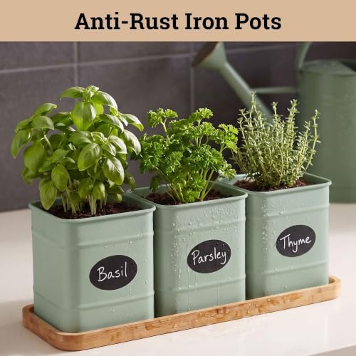 Herb Planter Indoor, 3-pc Herb Pots w/ Drainage Holes, Bamboo Tray & Labels - Image 3