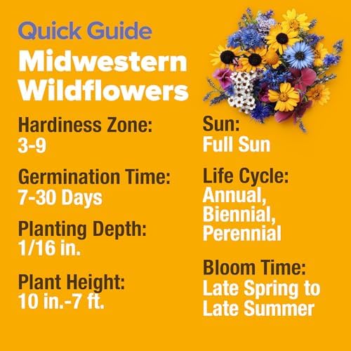 HOME GROWN Midwest Wildflower Mix 32,500+ Flower Seeds 2 oz - Image 5