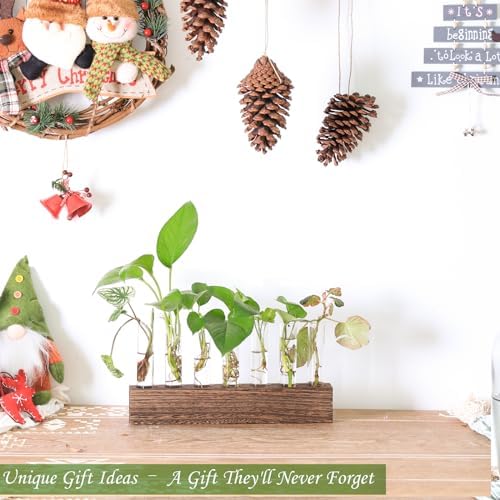 KAXYEW Desktop Glass Plant Propagation Station Test Tube Plant Terrarium in Wooden Stand for Hydroponic Plants Cutting Office Home Decoration - Image 5