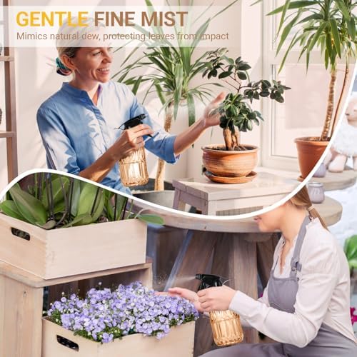 Glass Plant Spray Bottle, 13.5 oz small plant mister, Leak Proof Fine Mist Watering can with Adjustable Nozzle for Indoor Plants Lover, Gardening, Hair, Cleaning Solutions (Orange) - Image 5