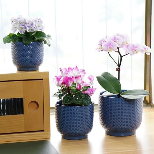 4 + 5 + 6 Inch Ceramic Pots for Indoor Plants, Succulents Plant Pots, Orchid Flower Pot with Drainage Hole, Modern Clay Stoneware Planters, Set of 3 (Dusty Blue, 4+5+6 Inch) - Image 5