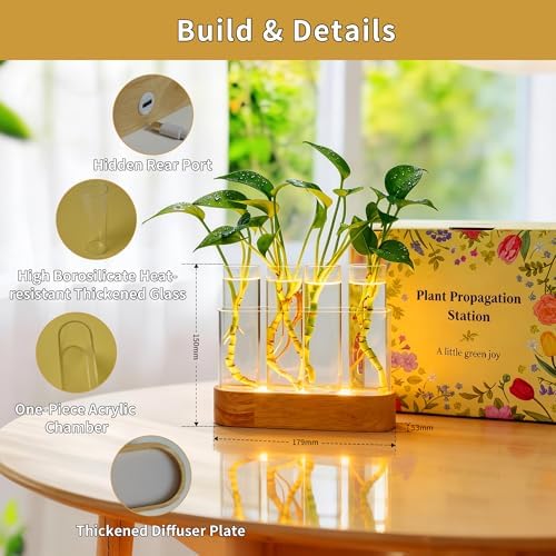Plant Propagation Station with LED Grow Light, Wooden Stand & 4 Glass Tubes - Image 3