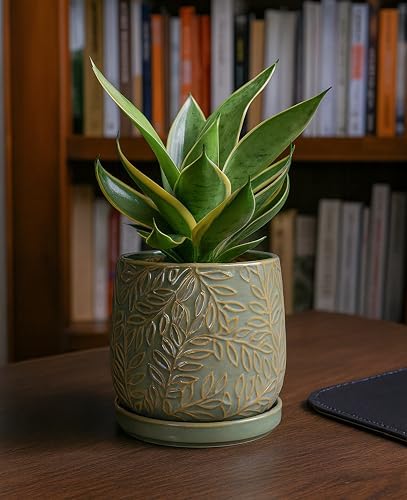 D'vine Dev Embossed Leaves Ceramic Planter, 6 in, Olive, 27-A-X-0 - Image 6