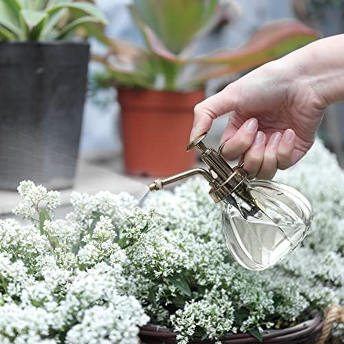 T4U Glass Plant Mister 200ML, Vintage Spray Bottle with Top Pump Fine Mist Flower Garden Sprayer Small Decorative Spritzer Watering Can Gift for Indoor Outdoor Succulent House Plant (Clear) - Image 4